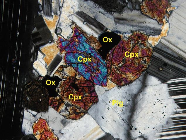 que  Foto 1. Cuarzo Diorita en Nicoles Cruzados, donde se observa su textura y algunos minerales como Plg= Plagioclasa, Bt= Biotita y Ox= Óxidos.