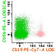 CD28 CD27