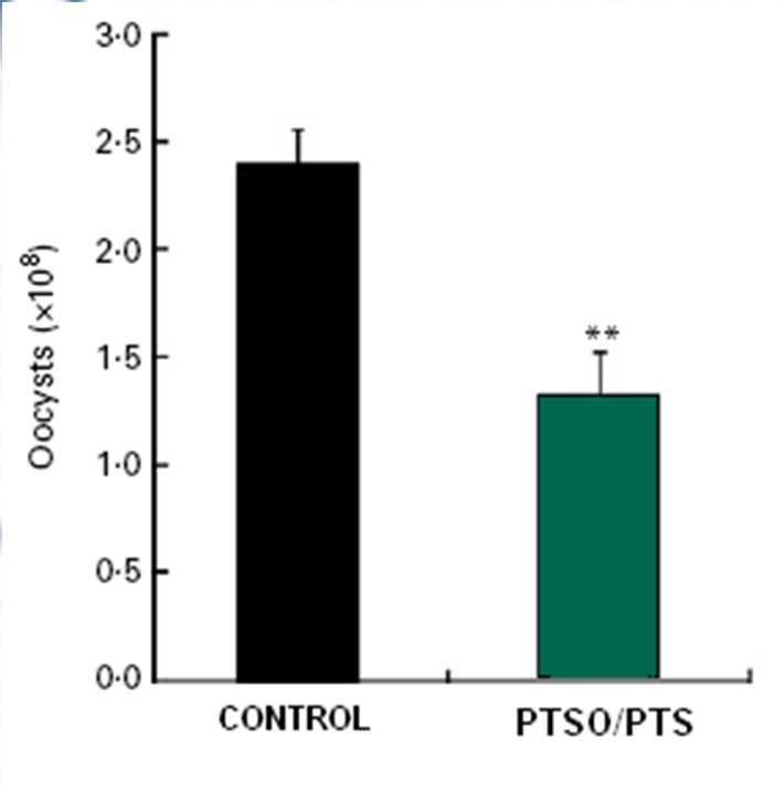 2. Efectividad de PTS / PTSO en la reducción de Coccidiosis A. Tratamiento de cultivo preparado de sporozoitos de E.
