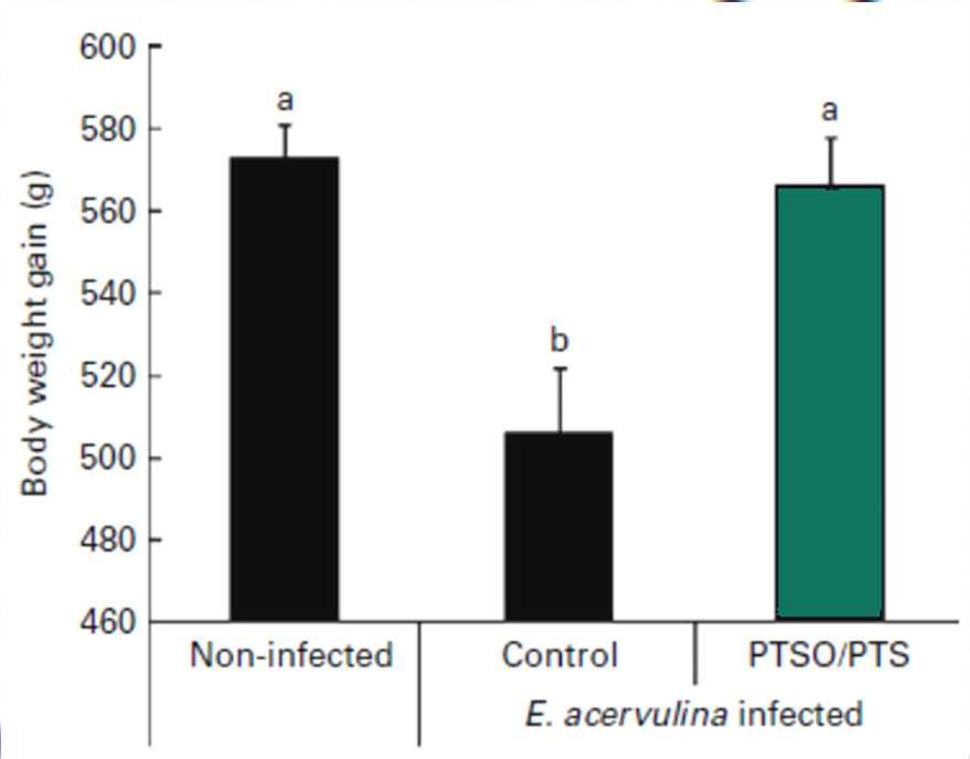 Mejorando la resistencia contra infecciones por Eimeria acervulina C.