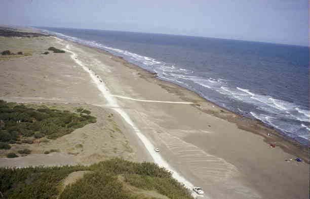 Dunas Playa Trasera Sobrelavado Playa Delantera Depósitos de Playa Cuerpos arenosos muy elongados (muchos km de largo), poco ancho (500 m) y muy poco espesor (10m).