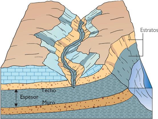El espesor también se denomina potencia Los materiales se ordenan cronológicamente en una columna estratigráfica, indicando los tipos de roca, los fósiles,