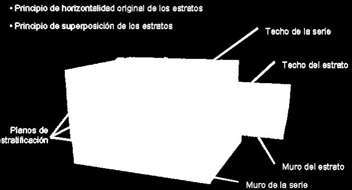 Las superficies que limitan un estrato reciben el nombre de planos de estratificación y tanto en la base como el muro es muy frecuente la