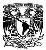 UNIVERSIDAD NACIONAL AUTÓNOMA DE MÉXICO Facultad de Ciencias Políticas y Sociales Plan de Estudios de la Licenciatura en Ciencias de