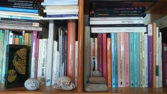 Sandra Pérez de Argentina, dos estantes bien repletos de buenos libros de