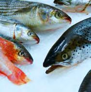 ARMARIOS DIVERSIDAD efficold propone compartimentos de pescado para sus armarios Classic Snack y Gastronorm de, ó 3 puertas,