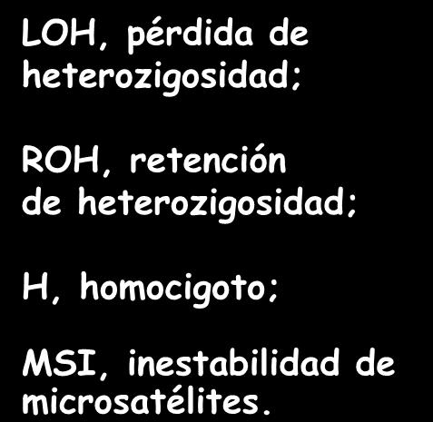 Pérdida de heterozigosidad (LOH) en b 2 m (15q.