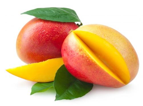 Nuevos productos de publicación Mango Brócoli Cultivo