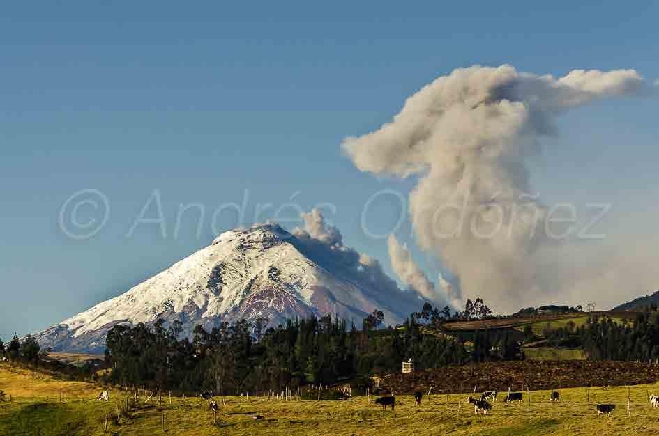 Volcán Cotopaxi: Generalidades 500.000 años: (grupo de domos, 1ero erupciones de gran magnitud; luego menos explosivas, + lava Foto: A. Ordoñez, 2015 13.