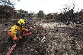 La situación ambiental y fragilidad de los ecosistemas Incendios forestales en Costa Rica dañan