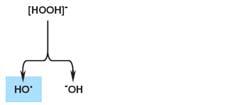 Formación de radicales libres Radicales libres 25 26 Perdiendo un electrón Rompimiento homolítico Aminofenoles Hb Fe 2+ Hb Fe 3+ Hemoglobina Metahemoglobina TAREA: BUSCAR 3 SUSTANCIAS CUYO TOXIDROME