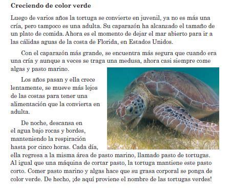 Ejemplos de preguntas: La travesía de la vida de la tortuga verde (texto