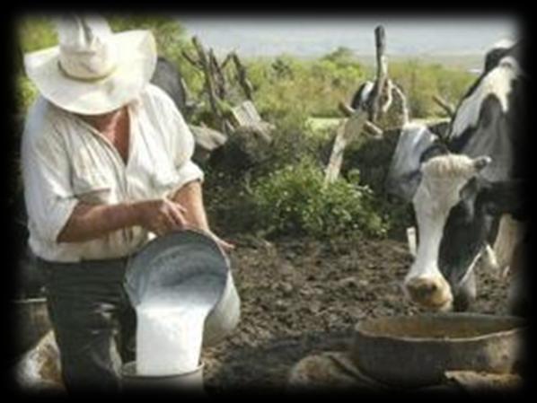 CONTEXTO La producción de leche en donde vive Don Joselito: Es