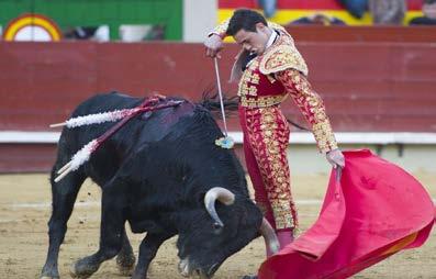 EL PROTAGONISTA NOVILLERO Sedano Vázquez: Estoy contento por el triunfo de Castellón pero aún queda mucho camino por andar Ha sido el primer gran nombre de la Feria de la Magadalena de Castellón.
