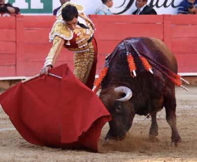 GUADALAJARA EL PROTAGONISTA Diego SIlveti se topo con el mejor toro de la tarde, un toro que fue premiado por la afición con una sonora ovación en su arrastre.