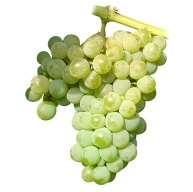 3) Variedades muy aromáticas no moscateles: Albariño La uva es