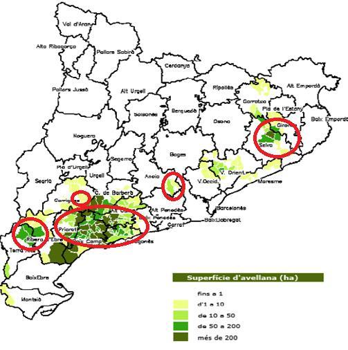 Catalunya Fuente: elaboración DARP a partir datos DUN