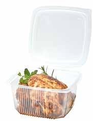 FOOD PAC SERVICE ENVASES 08 09 10 11 60 12 13 14 08 052209