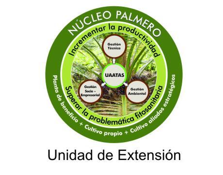 Fedepalma promueve la organización de los productores alrededor de los núcleos palmeros