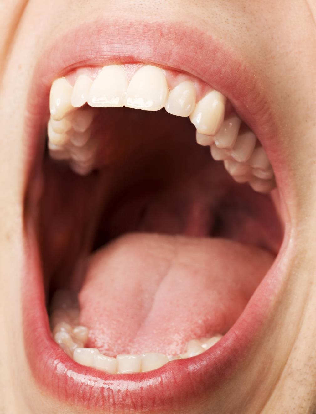 CAVIDAD ORAL Vestíbulo Oral Cavidad Oral Separadas por procesos