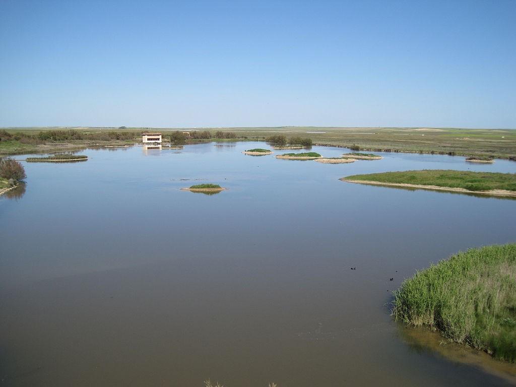 PRESENTACIÓN La "Reserva Natural de Lagunas de Villafáfila", se encuentra enclavada en el noreste de la provincia de Zamora, dentro de la comarca de Tierra de Campos, donde la estepa cerealista es el