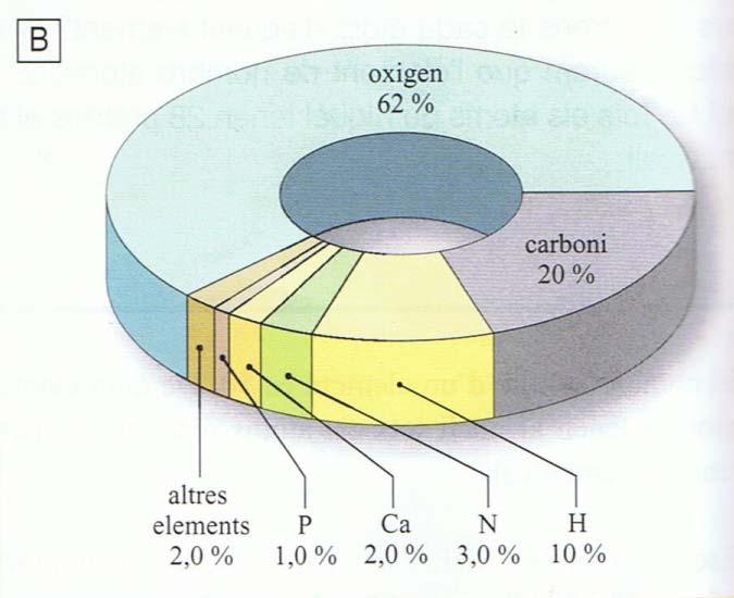 A. Tant per cent en massa dels elements més abundants a l escorça terrestre. B.