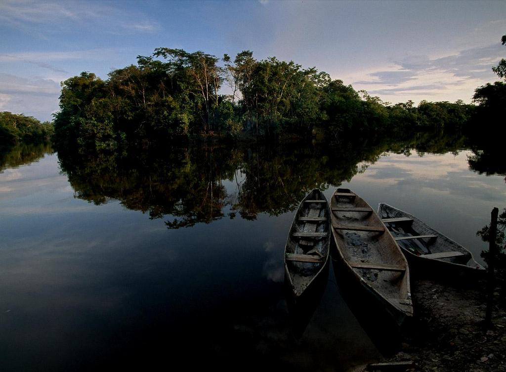 El Consejo Interregional Amazónico (CIAM) es una Junta de Coordinación Interregional constituida al amparo de la Ley No 27867 y No 28274.