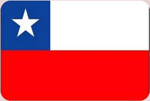 Acuerdos vigentes Chile ACE 35 (1996) Preferencia del 100% frente a un arancel del 6% Chile ha firmado varios TLC