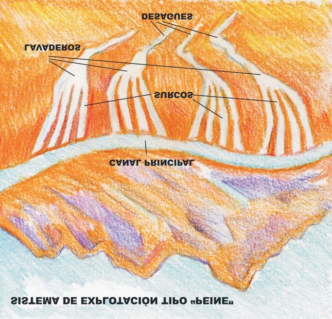 Sistema de explotación tipo Peine Había varios, según nos cuenta Plinio (v. materiales complementarios: PLINIO) Los más importantes fueron tres: Lavado de arenas en el lecho de los ríos.