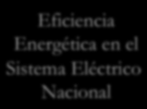 Eficiencia Energética en el Sistema Eléctrico