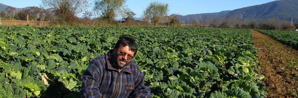 LA AGRICULTURA FAMILIAR CAMPESINA EN CHILE