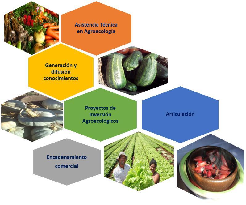 Implementar un Programa de Agroecología para la AFC Y con 5 Componentes 1. Asistencia Técnica Agroecológica 2.