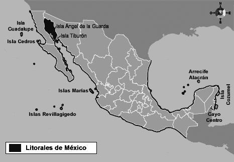 Guerrero, Oaxaca, Chiapas, Quintana Roo, Yucatán, Campeche, Tabasco, Veracruz y Tamaulipas), (Ver imagen 1) ; la actividad marítima se convierte en parte sustantiva del desarrollo económico, social y