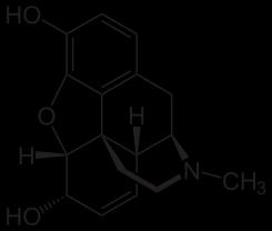 Agonistas de receptores opioides (mop, dop, kop) que liberan dopamina (depresores del SNC) Péptidos opioides endógenos: endorfinas,