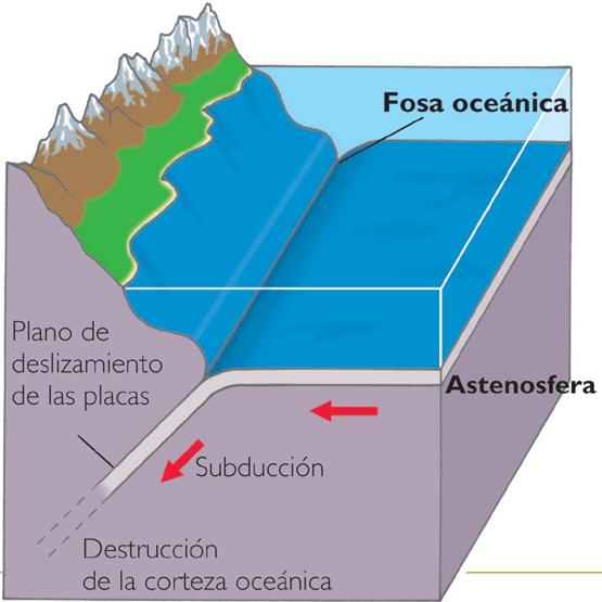 Las fosas oceánicas se constituyen como las zonas donde se destruye la corteza