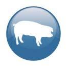 Información del 1 de enero al 23 de junio de 218 1. FAENA - Establecimientos habilitados a nivel nacional 1.3. PORCINOS La faena de porcinos en establecimientos habilitados a nivel nacional es cabezas, representando los cerdos un 88% 74.