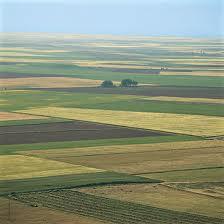 19. Parcela de cultivo: división mínima de la superficie agraria.
