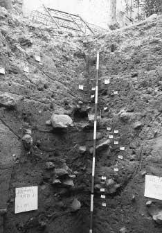 MEMORIAS DE ARQUEOLOGÍ A Foto 2. Sondeo arqueológico, vista de la esquina SW, con el desarrollo de las fosas vertederos.