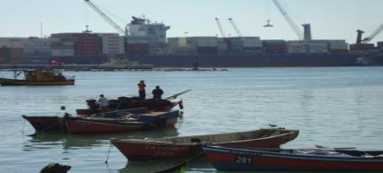 12.16, la Dirección Zonal de Pesca y Acuicultura junto a la Consultora M y S, realizaron capacitaciones a algueros y buzos mariscadores de la Zona de Taltal, Región de Antofagasta, los cuales se