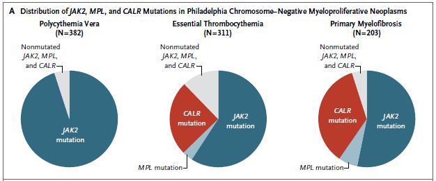 Trombocitemia osis Primaria/ Esencial Metapalsia / Mielofibrosis Mieloide Primaria La mayoría de los pacientes con TE (67%) o MFP (88%) que son JAK2 y MPL negativos, tiene una mutación somática en el