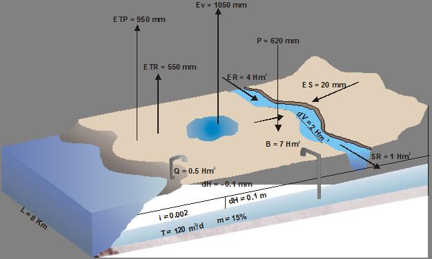Práctico N 4: En un acuífero alimentado por la lluvia y por la infiltración de un río se han tomado los siguientes datos correspondientes a un cierto año hidrológico: Pluviometría (P) = 620 mm
