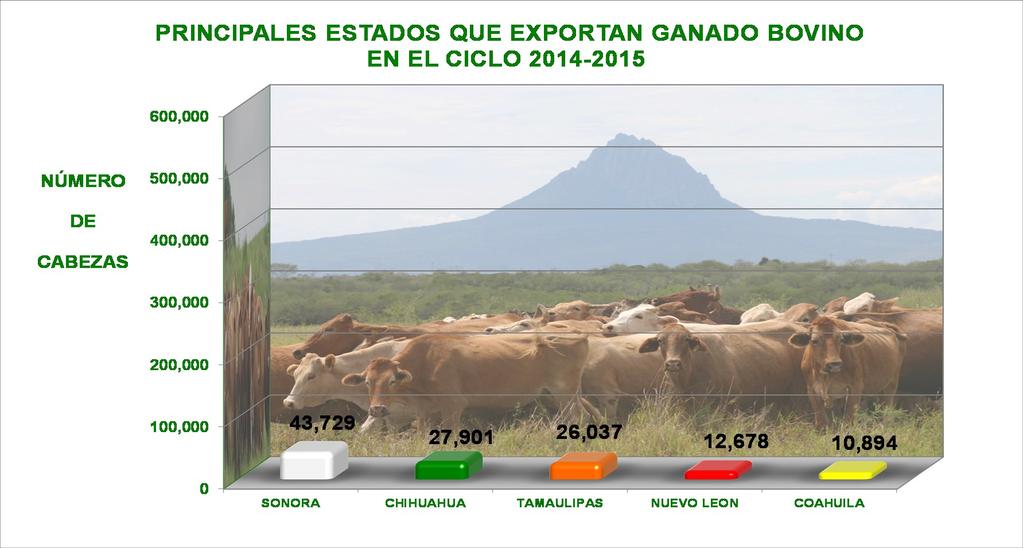 En este avance del ciclo ganadero 2014-2015, el Estado de Tamaulipas ocupa el tercer lugar Nacional exportando 26,037 cabezas aportando el 18.8% a nivel nacional.