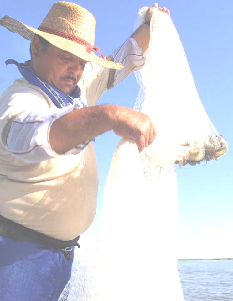 Página 7 Pesca y Acuacultura Volumen y Valor de la Producción Pesquera y Acuícola 2014 A continuación se presenta el volumen y valor de la producción pesquera y acuícola registrado al mes