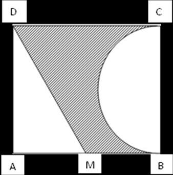 10.- onsidere un triángulo equilátero de lado 1 cms. Se traza la recta // de modo que el triángulo queda dividido en un triángulo y un trapecio de igual área.