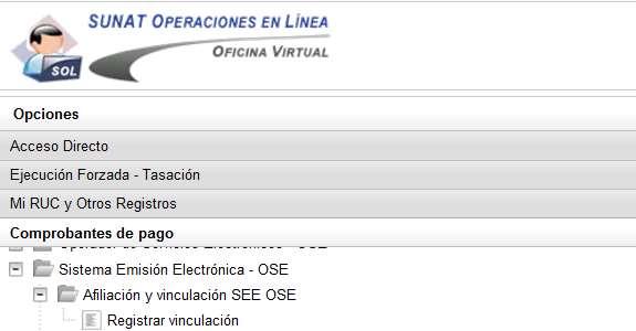 Habilitación como Emisor electrónico En caso de voluntarios: condiciones para estar habilitado a usar SEE- OSE (art.