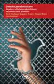 7205 D4316d-p Derecho penal mexicano: estudios y reflexiones sobre el diseño del sistema penal