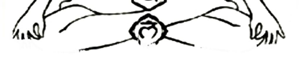 Glándula correspondiente: Glándula pineal (epífisis). El séptimo chakra coronal es donde se asienta la perfección suprema del hombre.
