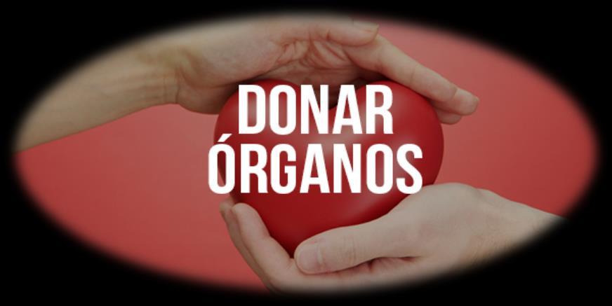 Qué es la donación de órganos?
