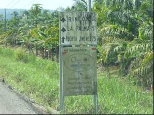 En la Ruta Nacional 245 a lo largo del corredor entre Chacarita y Rincón se observaron señales verticales en