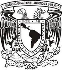 UNIVERSIDAD NACIONAL AUTÓNOMA DE MÉXICO FACULTAD DE CIENCIAS POLÍTICAS Y SOCIALES PLAN DE ESTUDIOS DE LA LICENCIATURA EN SOCIOLOGÍA TALLER DE ESPECIALIZACIÓN METODOLÓGICA (ESTUDIO DE CASOS) Clave